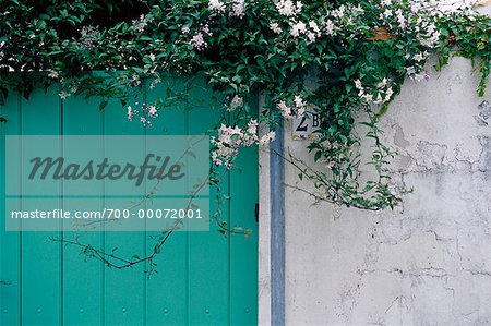 Nahaufnahme der Mauer und Blumen Ile de Re, Frankreich