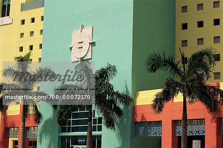 Buildings and Palm Trees Miami Beach, Florida, USA