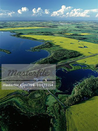 Aerial View of Canola Fields and Shoal Lake, Manitoba, Canada