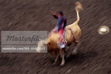 Blurred View of Bull Riding at Calgary Stampede Calgary, Alberta, Canada