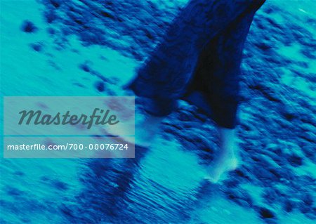 Blurred Close-Up of Woman Walking on Beach