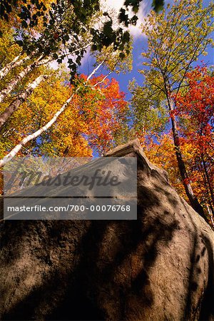 Nahaufnahme von Boulder im Wald im Herbst Algonquin Provincial Park, Ontario, Kanada