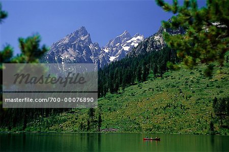 Lac, les arbres et les montagnes du Parc National Grand Teton, Wyoming, USA