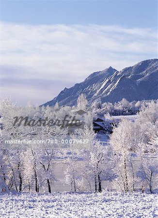 Vue d'ensemble du paysage, arbres montagnes et cabines en hiver Boulder, Colorado, USA