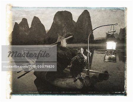 Kormoran Fischer am Lijiang-Fluss, nahe Xingping, Guangxi Region, China