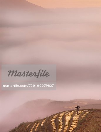 Landwirt mit Blick auf terrassierten Reisfelder bei Sonnenaufgang Longsheng, Guangxi Region, China