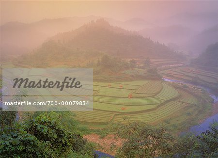 Overview of Terraced Rice Paddies In Fog, Longsheng Guangxi Region, China