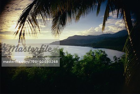 Vue d'ensemble du littoral, palmiers et ciel au crépuscule Province de Santiago, Cuba