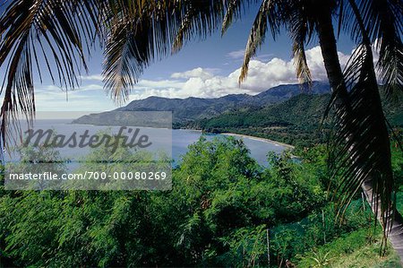 Vue d'ensemble du littoral, palmiers et ciel Province de Santiago, Cuba