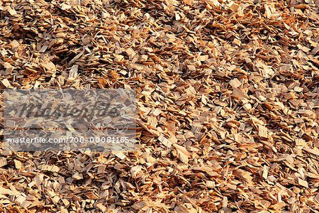 Close-Up of Wood Chips for Pulp and Paper Manufacturing
