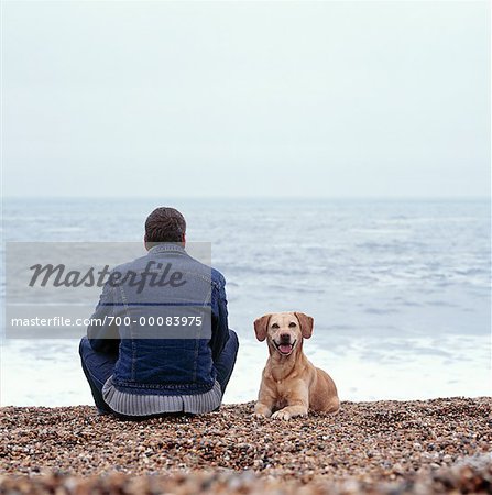 Rückansicht des Mann sitzt am Strand mit Hund England