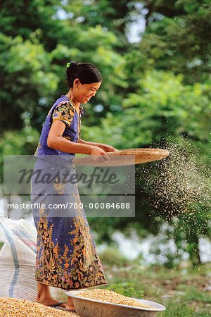 Femme Grains de tamisage, souriant Bhamo, Mandalay, Myanmar