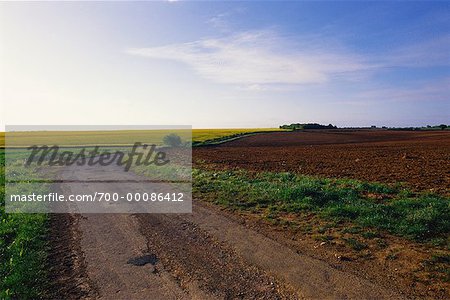 Feldweg durch Felder-Frankreich
