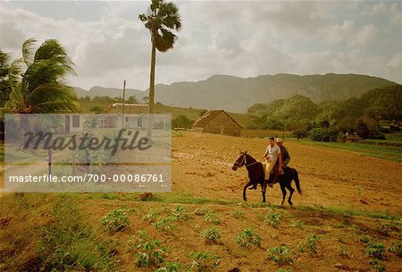 Gens à cheval au champ Viñales, Cuba