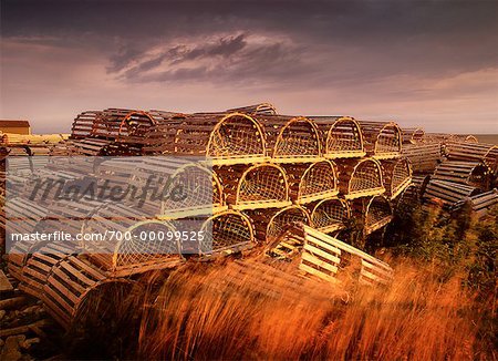 Lobster Traps at Sally's Cove Northern Peninsula, Newfoundland Canada