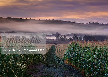 Farmland near Antigonish Nova Scotia, Canada