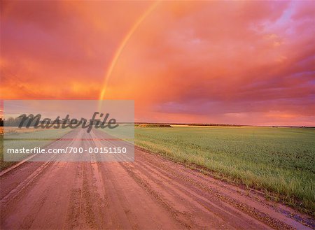 Regenbogen über Landstraße