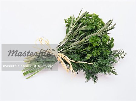 Bouquet of Herbs Dill, Parsley and Rosemary