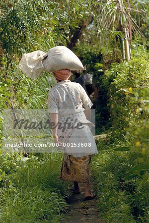 Femme portant des riz Ubud, Bali, Indonésie