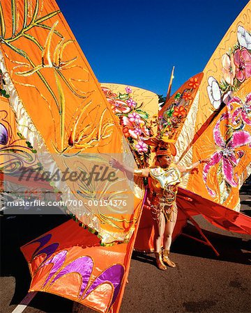 Wildblumen Kostüm Karneval