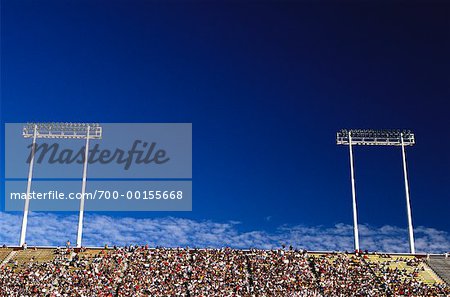 Stadium Crowd and Lights