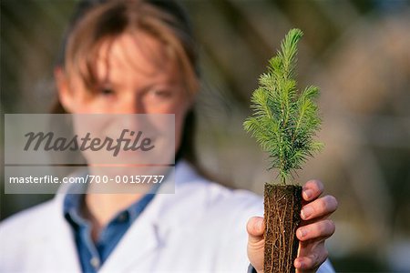 Biologe halten Baum Bäumchen