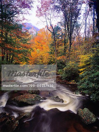 Saluda rivière, pont de Mountain Wilderness, parc d'état Jones Gap, South Carolina, USA