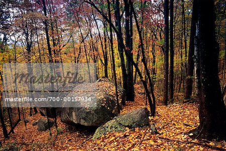 Mountain Bridge Wilderness Area, Jones Gap State Park, South Carolina, USA