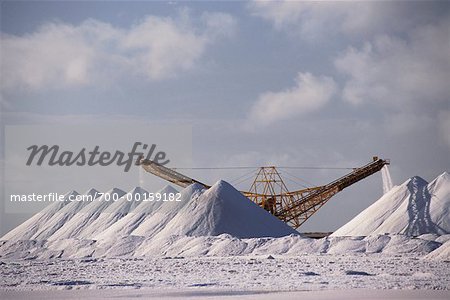 Salt Mine