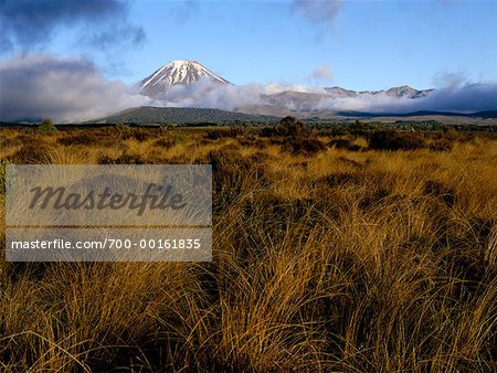 Mt Ngauruhoe Tongariro National Park New Zealand