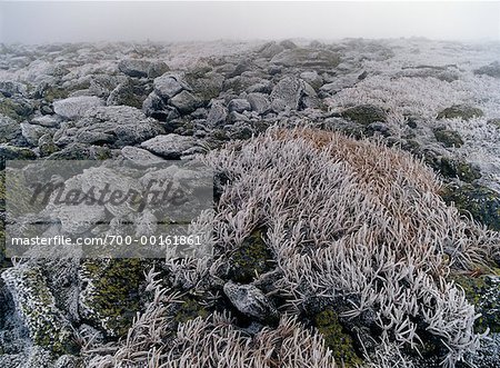 Sommet rocheux du Mont Washington, New Hampshire