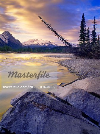 Rocky Shoreline