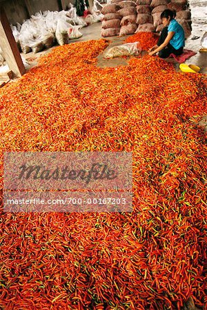 Tas de piments en usine