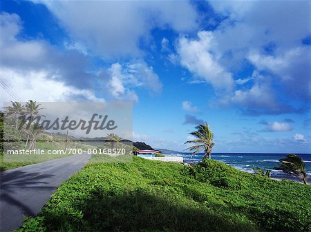 Route de Shoreline Barbade