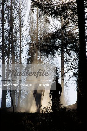 Silhouettes of Forest Fire Fighters