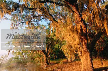 Lake Lafayette, Tallahassee, Florida, USA