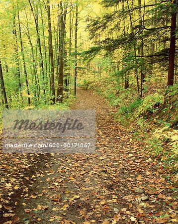 Rouge River Valley Park, Scarborough, Ontario, Kanada