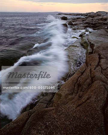 La côte Atlantique, Cove, Nouvelle-Écosse, Canada de Peggy