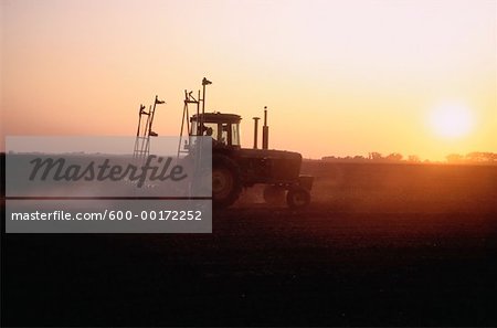 Tracteur labourant les champs, Manitoba, Canada