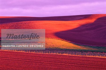 Hügel bei Sonnenuntergang, Whitman County, Bundesstaat Washington, USA