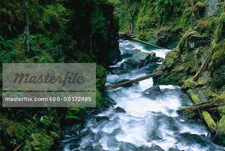 Soleduck Falls, Olympic National Park, Washington, Etats-Unis, rivière