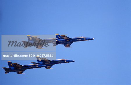 US Navy, Blue Angels