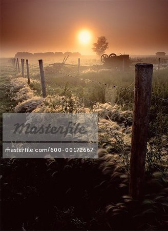 Sétaires et vieux matériel agricole à l'aube, près d'Edmonton, Alberta, Canada