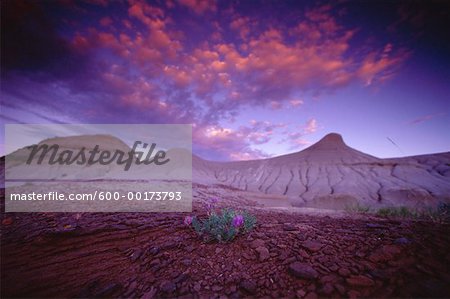 Dinosaur Provincial Park, Alberta, Canada