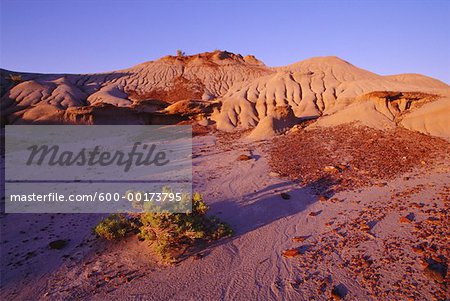 Dinosaur Provincial Park, Alberta, Canada