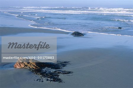 Atlantic Coast, Boulderbaai, Cape Province, South Africa