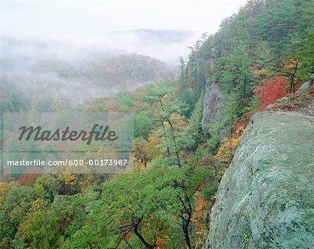 Red River Gorge, Daniel Boone National Forest, Kentucky, USA