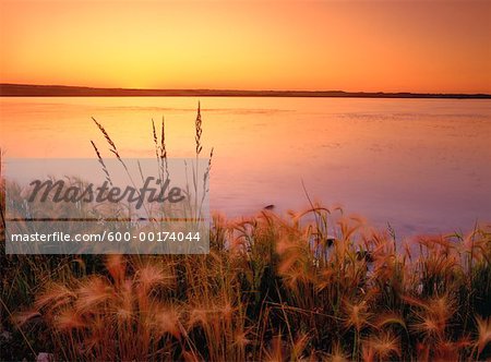 Coucher du soleil, Saskatoon Island Provincial Park, Alberta, Canada