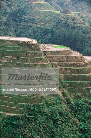 Rice Terraces at Banaue, Province of La Union, Philippines