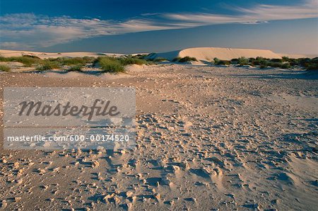 Zone rocheuse dans les Dunes, Boulderbaai, côte ouest NAT. PK., Northern Cape, en Afrique du Sud